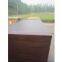 Shuttering Plywood Fim Faced Plywood