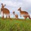 Realistic Corten Steel Animal Sculpture Craft