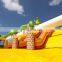 Dino World Bounce Slide Playground Dual Lanes Inflatable Dinosaur Slide Bouncer