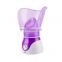 Hot Sale Item OEM 130W 50ML Electric Face Steamer Portable Facial Steamer 2021