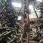 52mm Stud Link  Marine Anchor Chains With  BV certificate