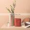 Nordic Morandi color line sculpture vase floor table top vase decoration