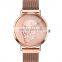 Quartz Watch Luxury SKMEI 9173 Custom Logo Hand Watch For Man Stainless Steel Watch