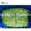 Sinocharm IQF 2-4cm  Frozen green beans cut on sale