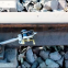 Rail Long String Measuring Device for Railway Track Curve Versine Measuring