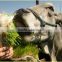 Barley Grass Growing Equipment / Hydroponic Grass Growing Machine For Lamb