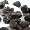 wild black truffle from yunnan