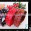 Most Popular Promotion Nice Dog Collar Wholesale PU Pet Collar With High Quality