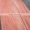 rotary cut bintangor wood face veneer for India market