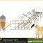 ISO9001 qualified automatic broiler poultry shed design