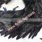 Black Wholesale Chicken Wings With Rooster Tail Feather Decoration