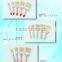 paint brush bristles brush wool brush