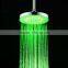 Bathroom rain LED shower head SDH-C2