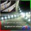 Good price 2835 smd led flexible strip with 5m 300leds,IP68 Waterproof floor light led strip lighting with 2835 60 LED per meter