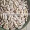 Sunflower seeds Kernels/confectionary &bakery high quality