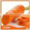 New crop fresh red carrots