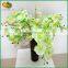 Wholesale Orchid Flower for Home Decoration