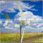 300W 400W 600W 1000W 3000W 5000W 10KW 20KW 30KW 50KW Off Grid & Grd Tie Home Use HAWT Mini Wind Turbine Generator