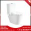 China cheap modern toilet or Factory direct sale white color toilet