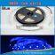 Waterproof Optional LED Strip SMD 5050 2835 3528 RGBW RGB LED Strip