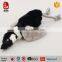 customized wholesale hot sale slingshot pet dog toys War-Mart
