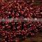 cheap's Chinese New crop red adzuki beans