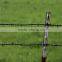 hot dipped barbed wire with low price