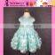 2015 Fashion Hot Sale Flower Lace Party Dress Custom Sleeveless Princess Girl Kids Children Dress Model