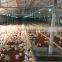 high quality modern China broiler poultry equipment