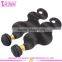 Brazilian Virgin Hair Body Wave Brazillian 100% Human Hair Weave Brazilian Body Wave Virgin Hair Bundles