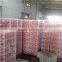 Wholesale Best Price Fresh Citrus Fruit Navel Orang