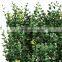 Buxus leaf shape leaf plastic hedge with UV resistance