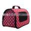 lady travel carrier dog bag