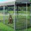 big metal dog pens