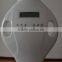 Laser bleaching teeth whitening lamp,8pcs blue led lamp teeth whitening laser dental portable