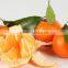 fresh orange for sale valencia orange price