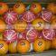 Pallets for Egyptian Oranges