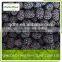 frozen organic blackberry