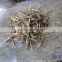 High Sprouting Rate Bamboo seeds For growing bamboo trees and shoots