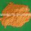 100% Natural food grade Carrot Extract Powder manufacture ISO, GMP, HACCP, KOSHER, HALAL certificated