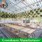 Commercial Used Insulated Tempered Glass Greenhouses