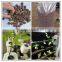 Expanded Clay for hydroponics and gardening