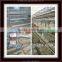 Innaer chicken cages laying hens