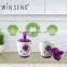 Ceramic Tea Pot Set with Teapot, Two Cups and Saucers,