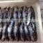 Good Quality Frozen Whole Anchovy