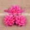 13 pairs Baby Mesh Chiffon Flower Headbands & Barefoot Flower Sock Sandals Shoes