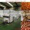 fruit and vegetable drying machine/food processing ginger dehydrator