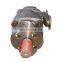 Trade assurance Germany BUCHER high pressure pump QX63-080/41-063R original import QX83-160/61-160R261