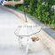 New technology transparent pet umbrella dog leash