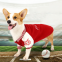 Winter And Autumn Animal Clothing for Small and Medium-sized Dogs Baseball Corgi Pet Clothes Sports Warm Cloth